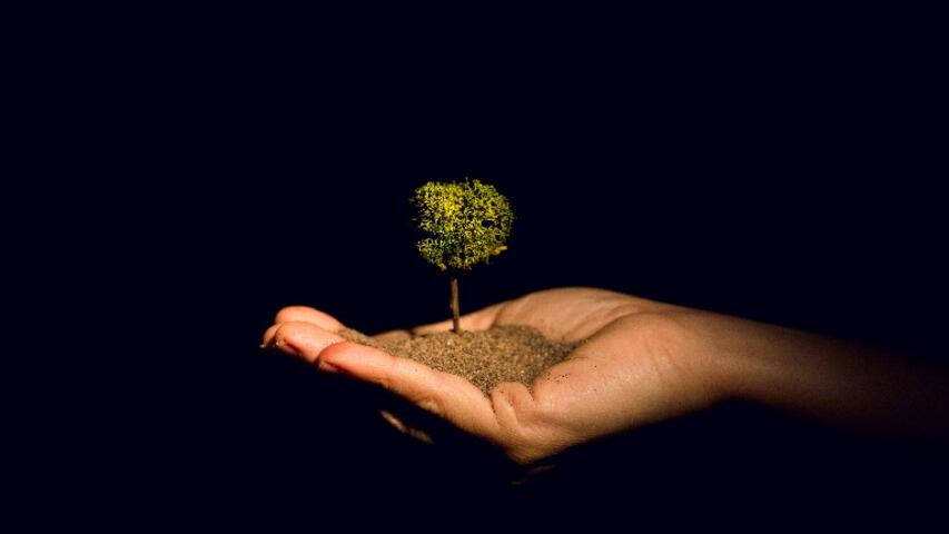 Foto 10 de l'espectacle An-ki