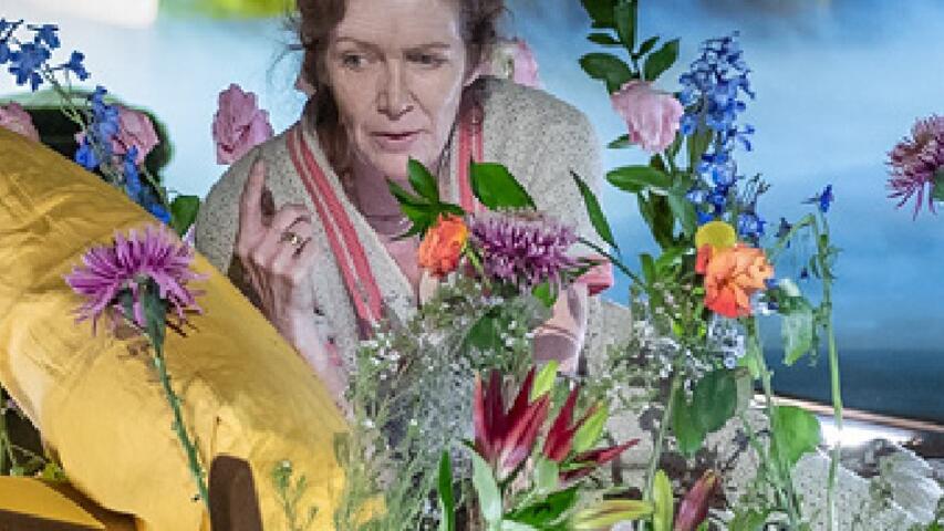 Foto 6 de l'espectacle The Hours