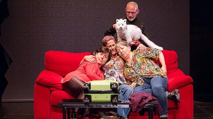 Foto 9 de l'espectacle Alicia en un món real