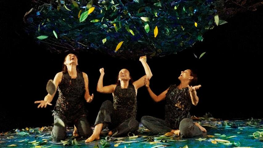 Foto 2 de l'espectacle Sotabosc © Ana Zaragoza