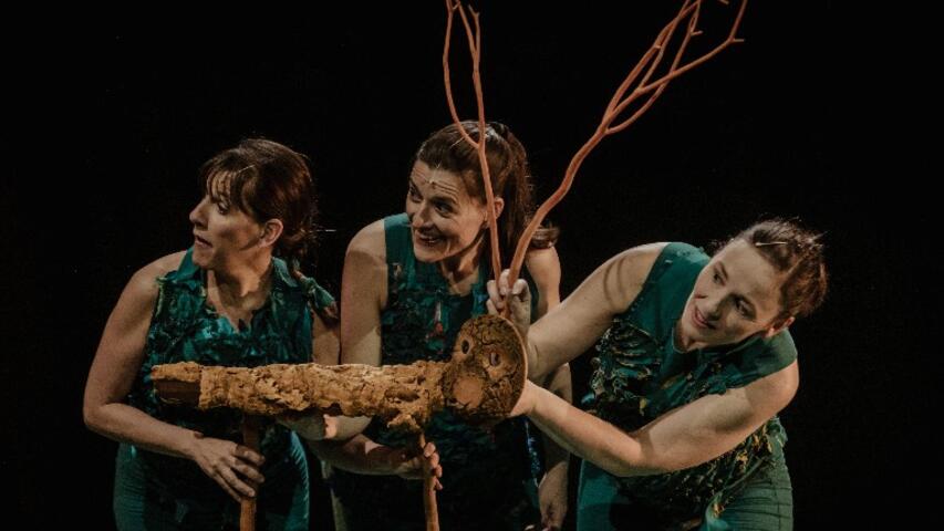 Foto 6 de l'espectacle Sotabosc © Ana Zaragoza