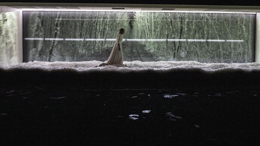 Foto 4 de Dissection d’une chute de neige © Géraldine Aresteanu