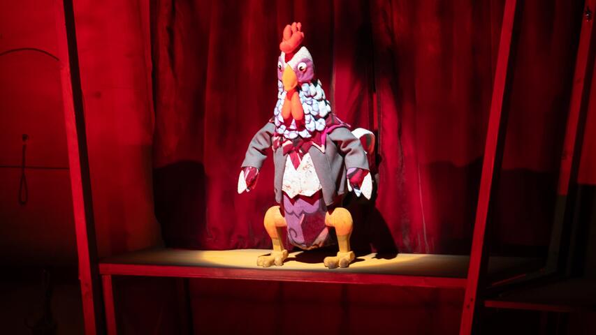 Foto Sigues Tortuga (3) ©Arian Botey