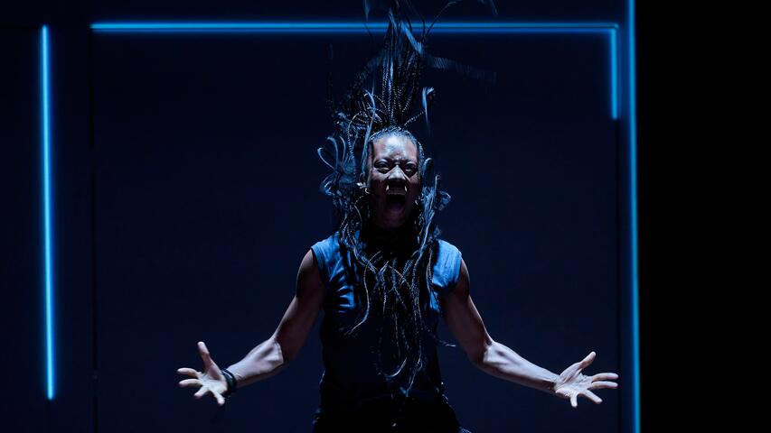 Foto 8 de Tarsius ©David Ruano/TNC