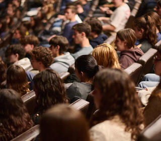 Altres projectes de laCultivadora