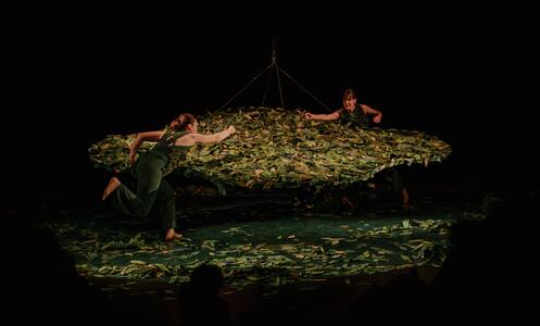 Foto 4 de l'espectacle Sotabosc