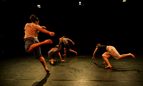 Foto 2 de l'espectacle ChoreoLab internacional © David Kalwar i TanzLabor ROXY Ulm