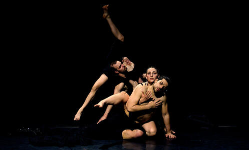 Foto 4 de l'espectacle ChoreoLab internacional © David Kalwar i TanzLabor ROXY Ulm
