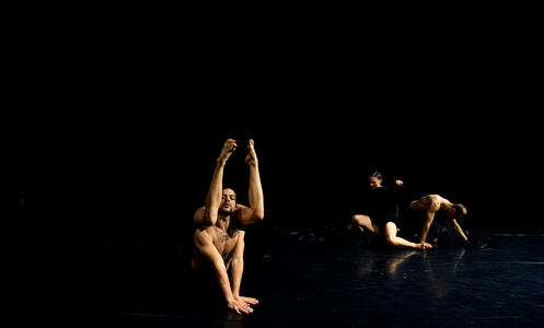 Foto 7 de l'espectacle ChoreoLab internacional © David Kalwar i TanzLabor ROXY Ulm