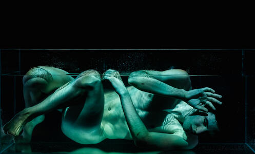 Foto 5 de l'espectacle Loneliness