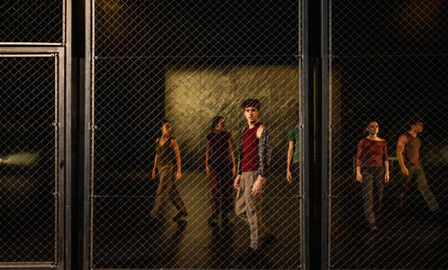 Foto 6 de l'espectacle Loneliness