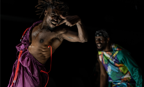 Foto 7 de Hannibal © Stef Stessel