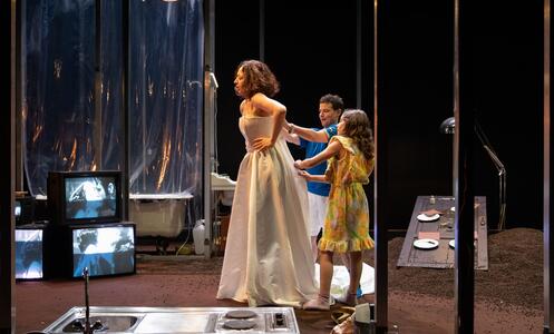 Foto 3 de l'espectacle Les jours de mon abandon