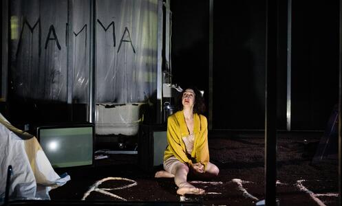 Foto 5 de l'espectacle Les jours de mon abandon