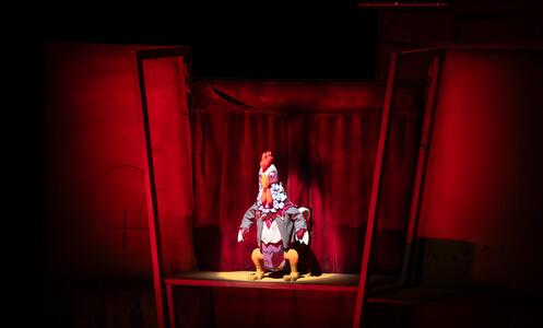 Foto Sigues Tortuga (3) ©Arian Botey