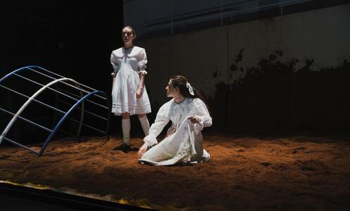 Foto 11 de l'espectacle Primera sangre