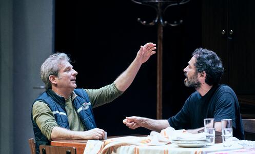 Foto 1 de l'espectacle L'aranya