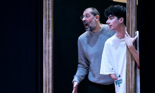 Foto 6 d'assaig L'aranya 