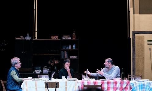 Foto 15 d'assaig L'aranya 