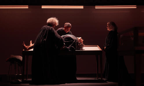 Foto 10 de l'espectacle Vosaltres, les bruixes