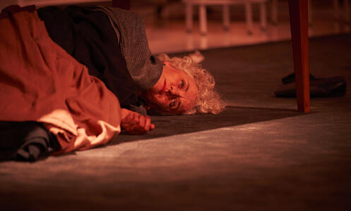 Foto 14 de l'espectacle Vosaltres, les bruixes