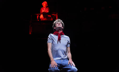 Foto 5 de l'espectacle Massa brillant