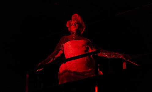 Foto 10 de l'espectacle Massa brillant