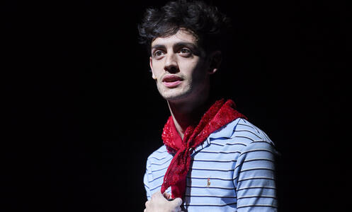 Foto 12 de l'espectacle Massa brillant