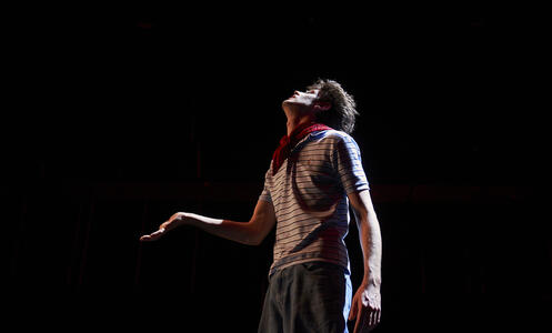 Foto 14 de l'espectacle Massa brillant