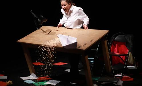 Foto 2 de l'espectacle The gazelle of Akka