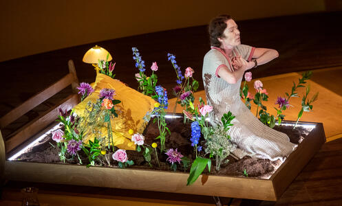 The hours Dim Balsem