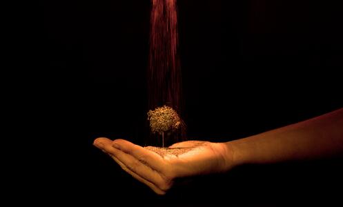 Foto 3 de l'espectacle An-ki