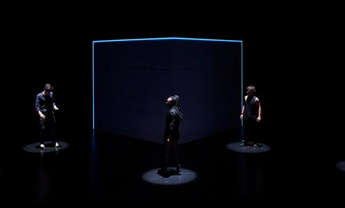 Foto 13 de Tarsius ©David Ruano/TNC