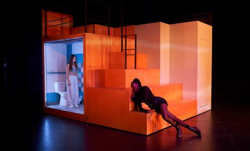 Foto 2 de Tarsius ©David Ruano/TNC