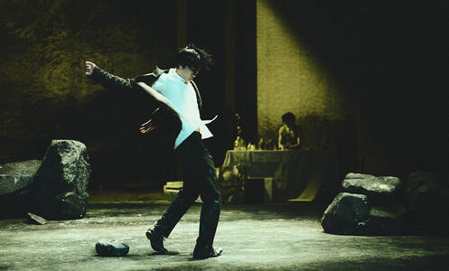 Chroniques © Camille Leprince (4)