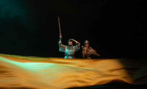 Les chevaliers - Los Detectives