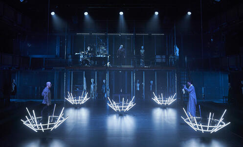 Foto 10 La reina lloba © David Ruano/TNC