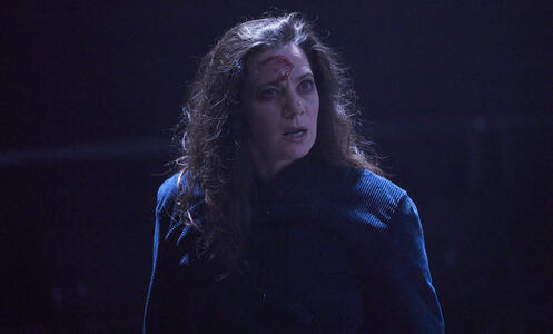 Foto 16 La reina lloba © David Ruano/TNC