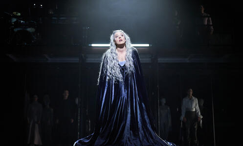 Foto 18 La reina lloba © David Ruano/TNC