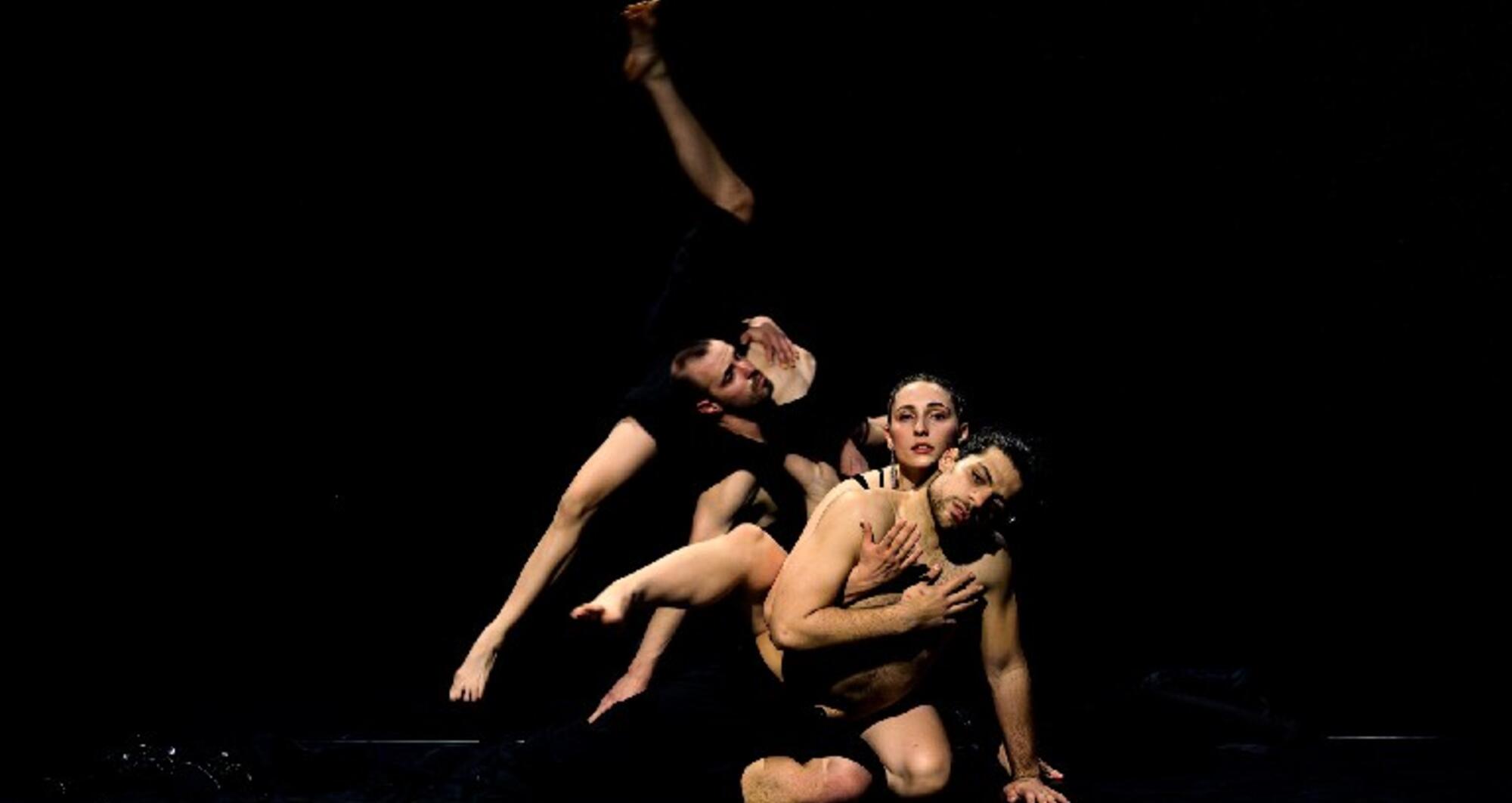 Foto 8 de l'espectacle ChoreoLab Internacional