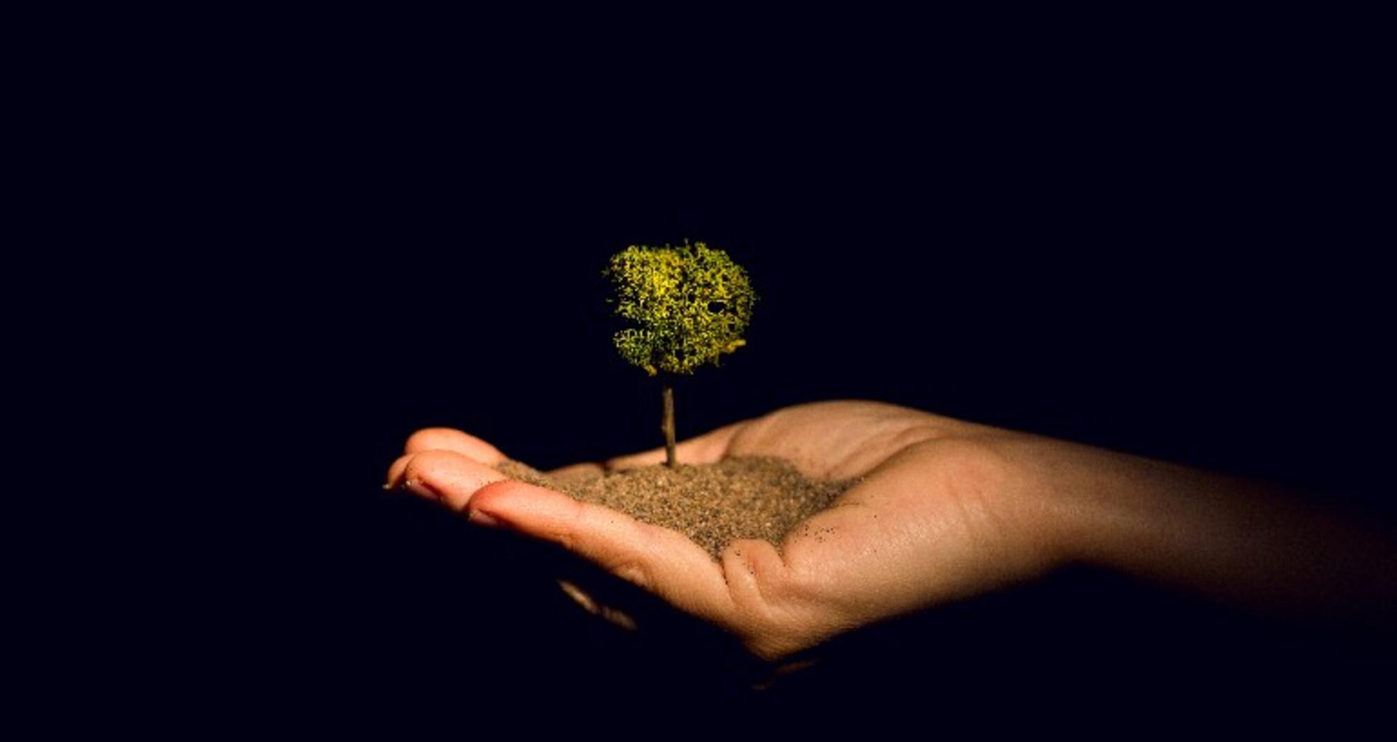 Foto 10 de l'espectacle An-ki