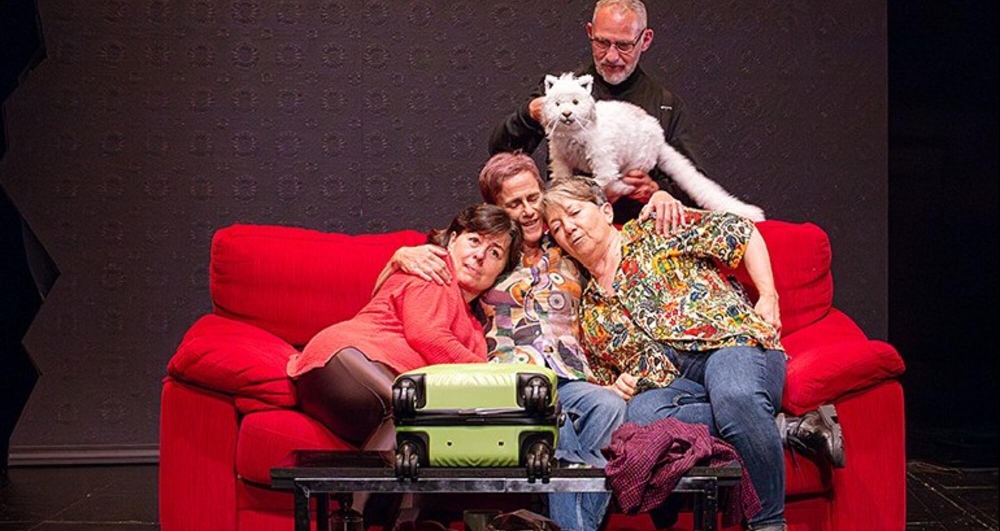 Foto 9 de l'espectacle Alicia en un món real