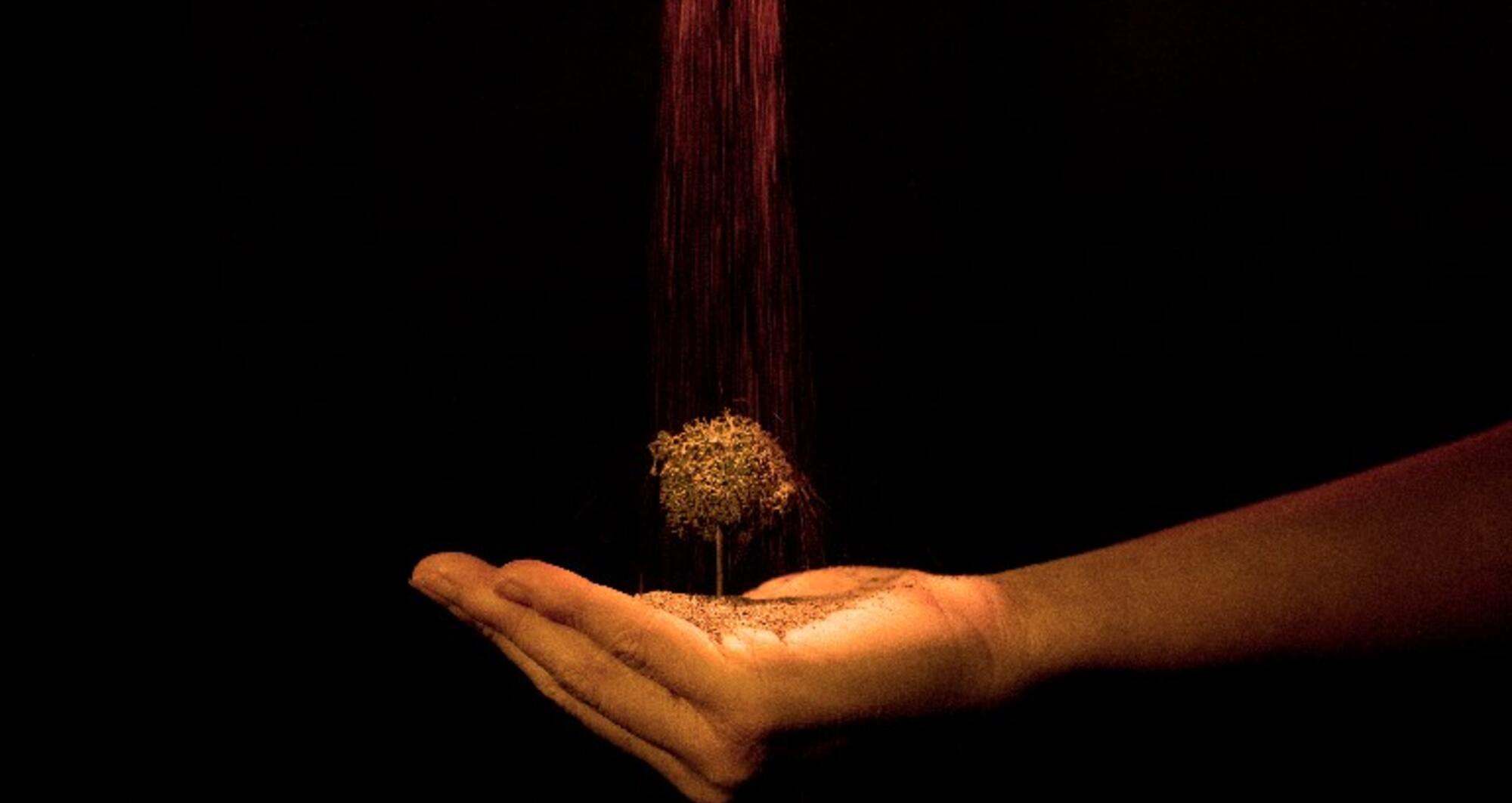 Foto 3 de l'espectacle An-ki