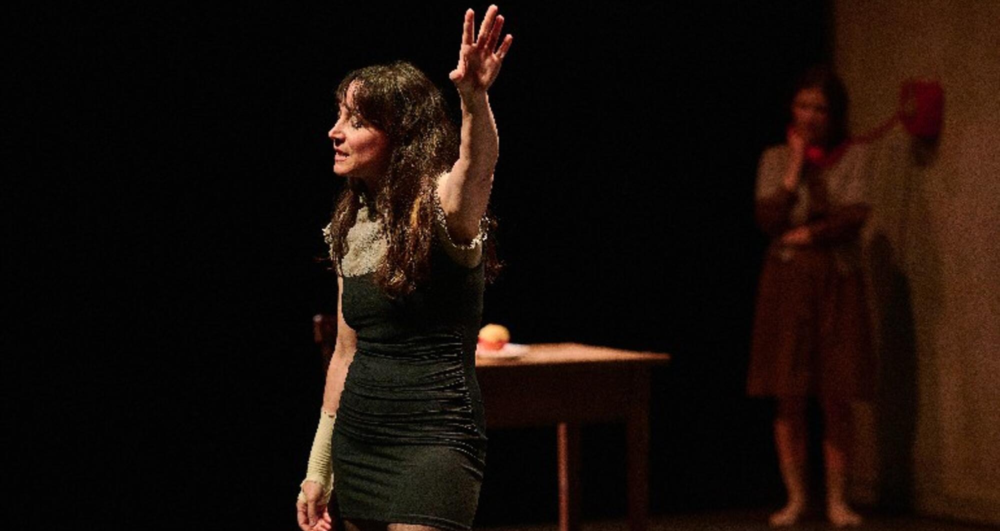 Foto 3 de l'espectacle Anatomia d'un suïcidi © studiruano/TNC