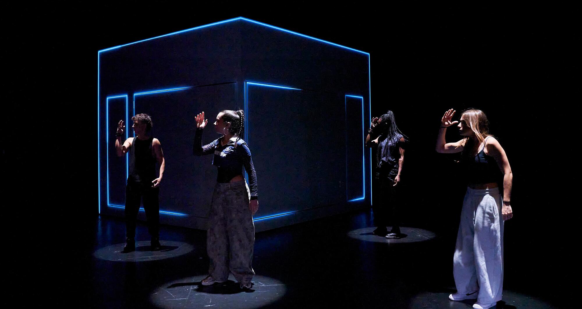 Foto 9 de Tarsius ©David Ruano/TNC