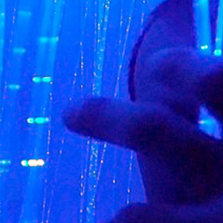 Projecte APS - La veu de la vergonya