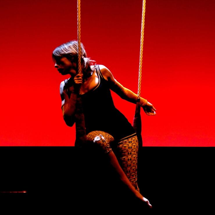 En defensa dels mosquits albins