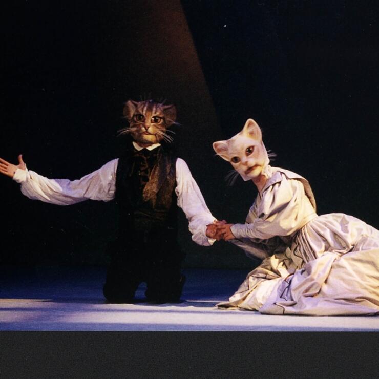 Mals d'amor d'una gata francesa