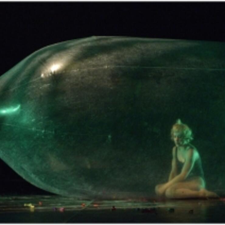 Memòries d'una puça