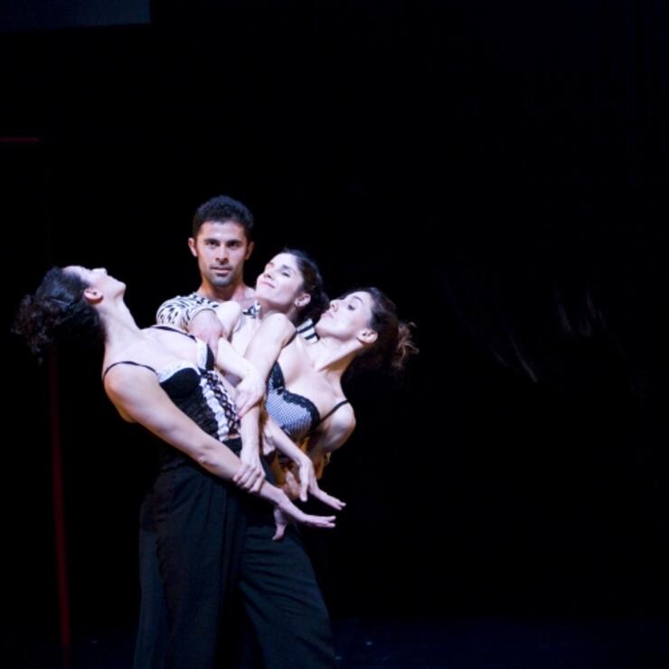 Musicolèpsia(Rapsòdia per a set putes)